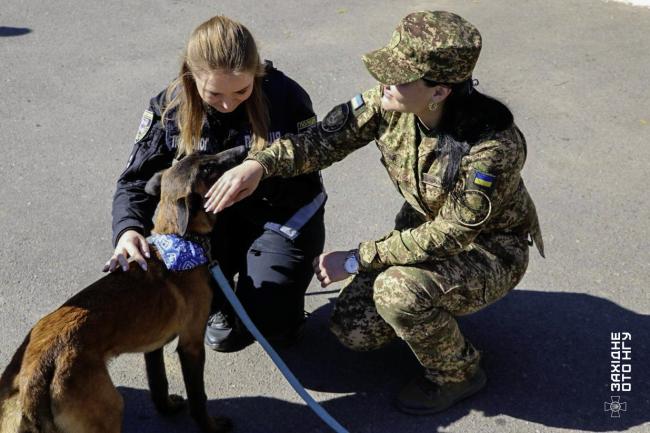 Новини Вінниці - фото з «Ми поряд, ми свої»: як військові психологи допомагають гвардійцям після фронту