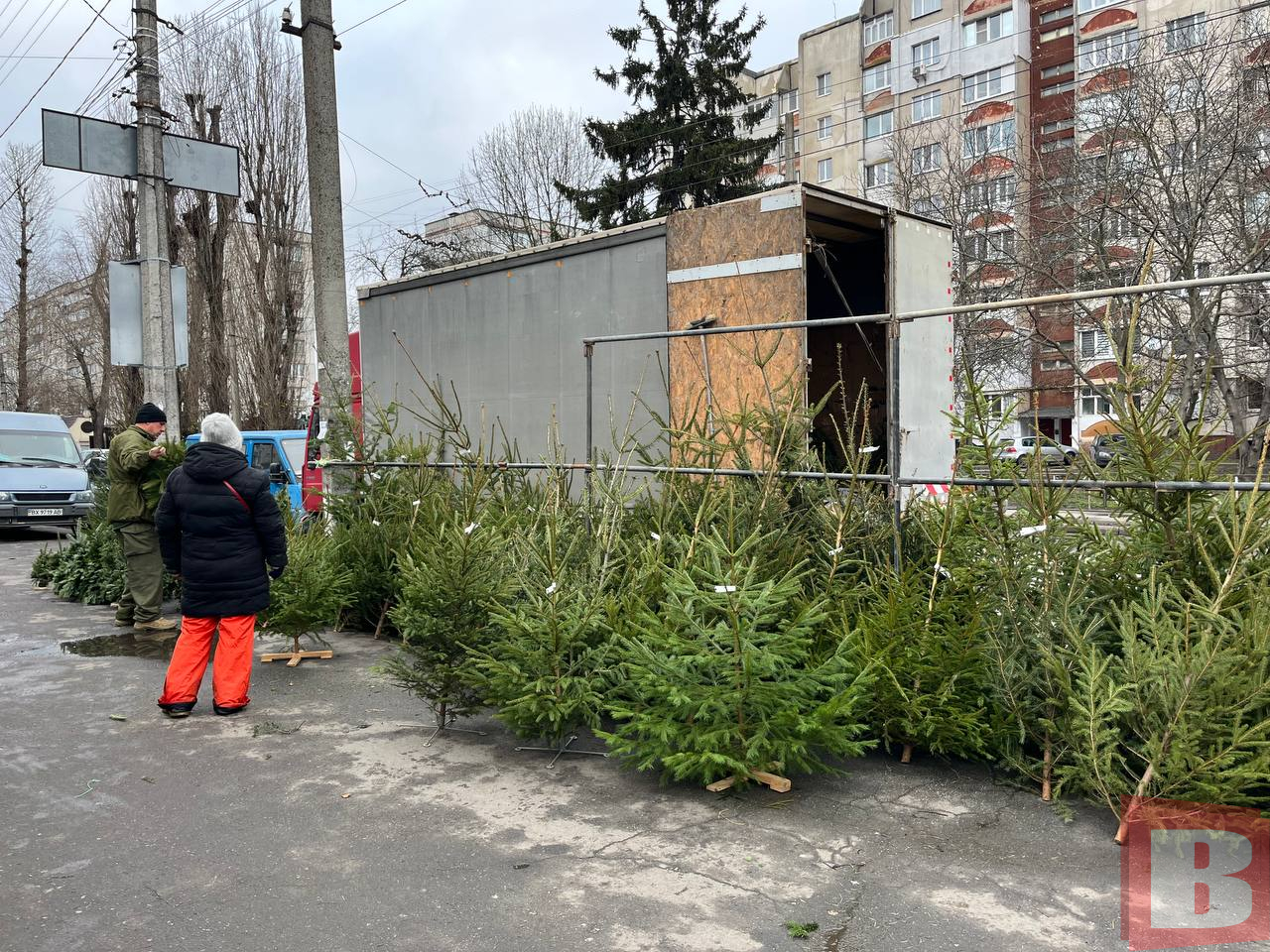 Новини Хмельницького - фото з Платну парковку біля «Либідь Плази» перетворили на ялинковий ярмарок НА Гречанах продають ялинки