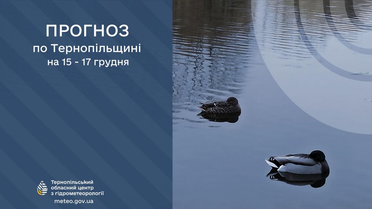 Новини Тернополя - фото з Погода на Тернопільщині 15-17 грудня: без опадів і мороз вночі