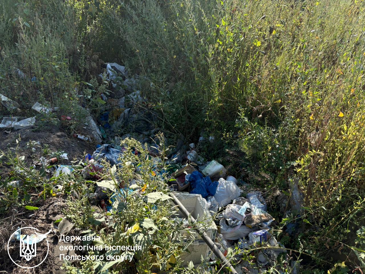 Новини Житомира - фото з Екологи виявили у Житомирі та передмісті шість стихійних сміттєзвалищ