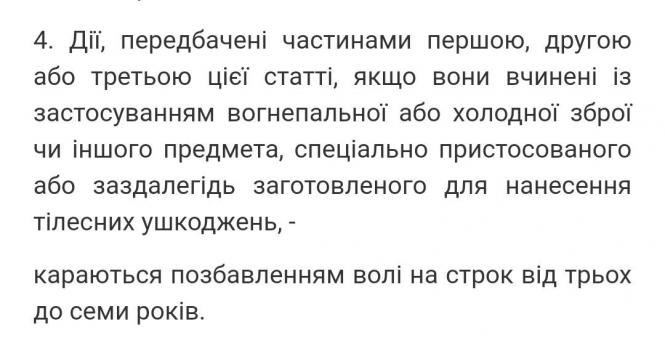 Новини Вінниці - фото з Поліція на 600-річчя схопила вісьмох людей, двох — за хуліганство зі зброєю