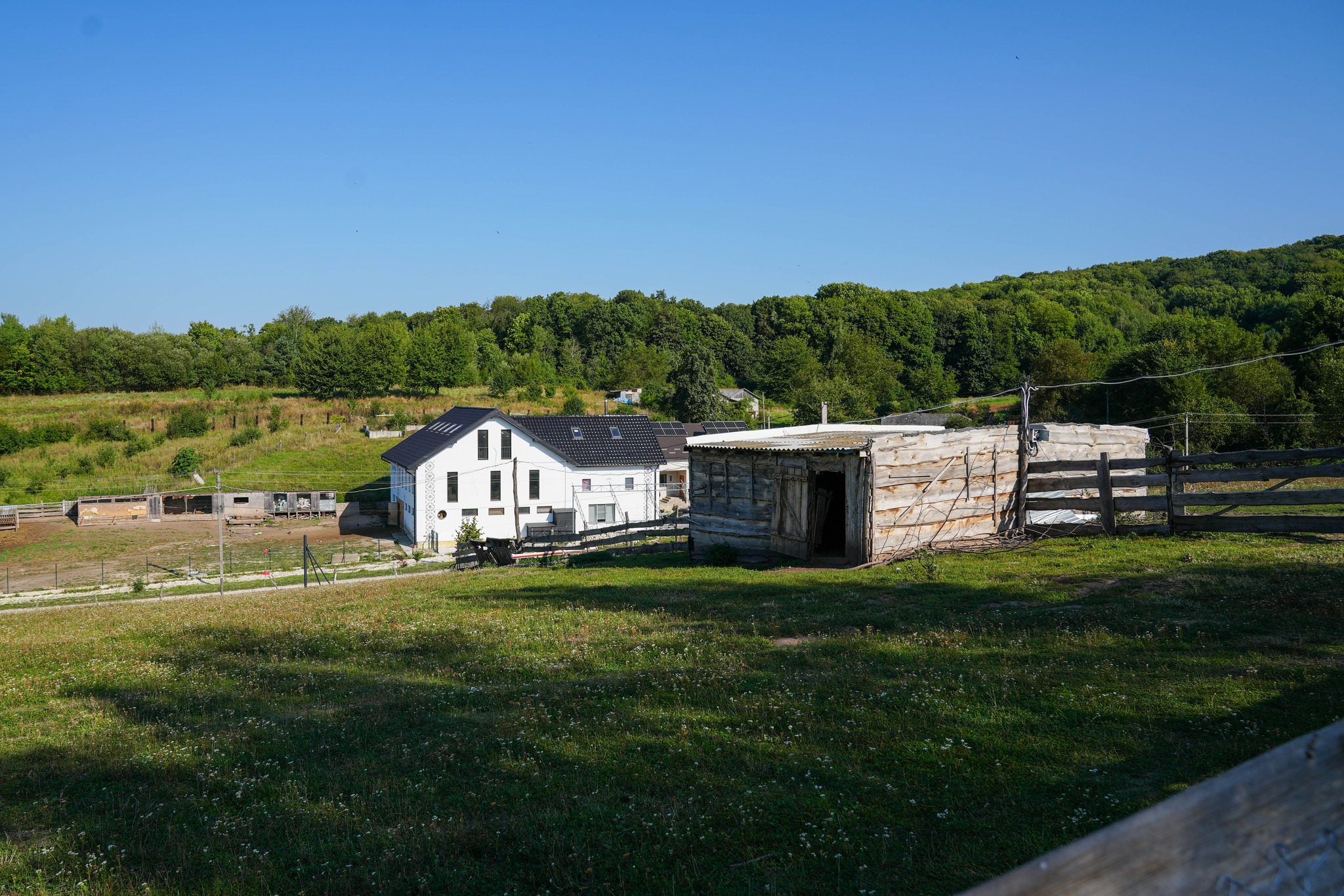 Новини Тернополя - фото з Від 12 кіз до успішної справи: історія екоферми «Веселі козенята» у селі Хомівка