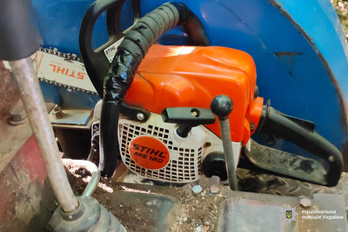 Новини Тернополя - фото з Двоє чоловіків з Заліщиків можуть отримати до п'яти років у в'язниці за порубку дерев