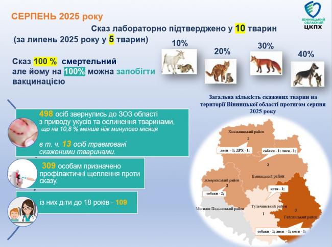 Новини Вінниці - фото з Від сказу у селі Мала Жмеринка загинула корова Марта: як захистити себе та тварин