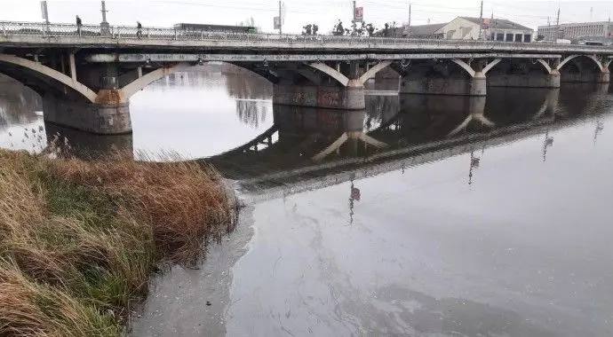 Новини Вінниці - фото з Запах, цвітіння та мертва риба: хто найбільше забруднює Південний Буг?