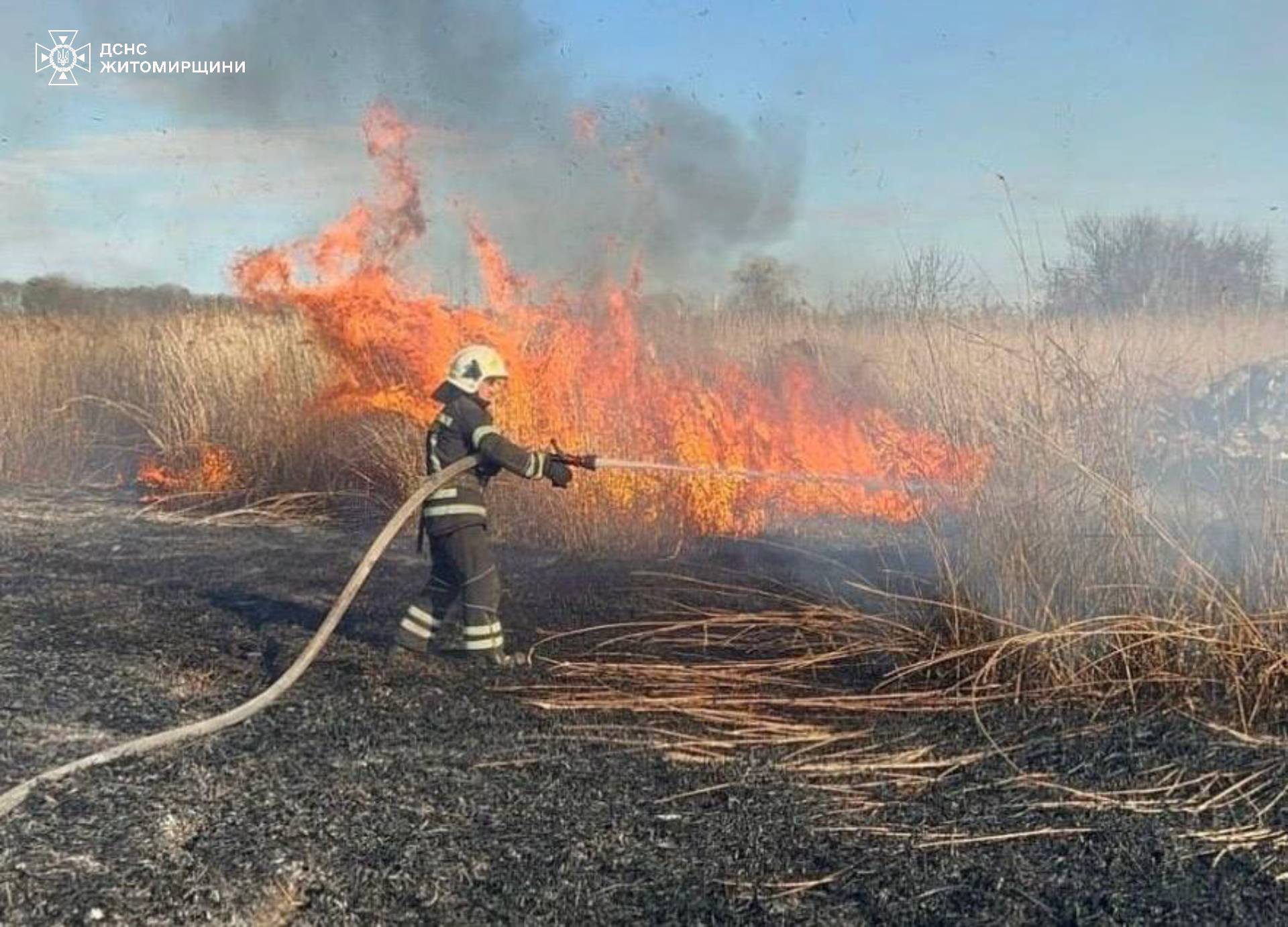 Новини Житомира - фото з Учора рятувальники ліквідували 7 загорянь сухої рослинності в Житомирському та Коростенському районах