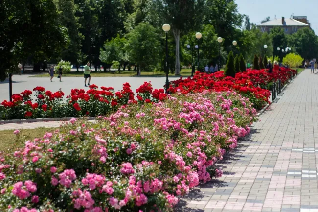 Новини Вінниці - фото з Вінниця, Бахмут, Миколаїв, Ужгород та Дніпро святкують День міста. Що спільного і що унікальне для кожного?