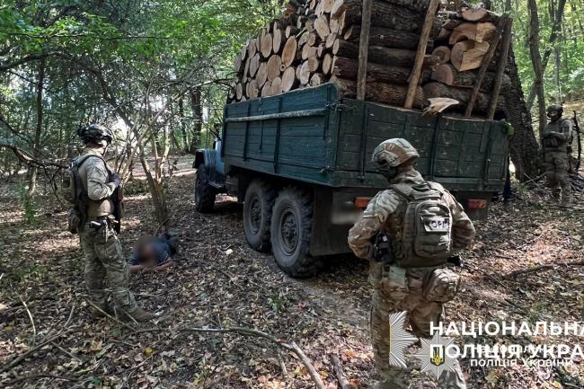 Новини Вінниці - фото з Масштабна вирубка дерев на заповідній території Вінниччини: затримали «чорних лісорубів»