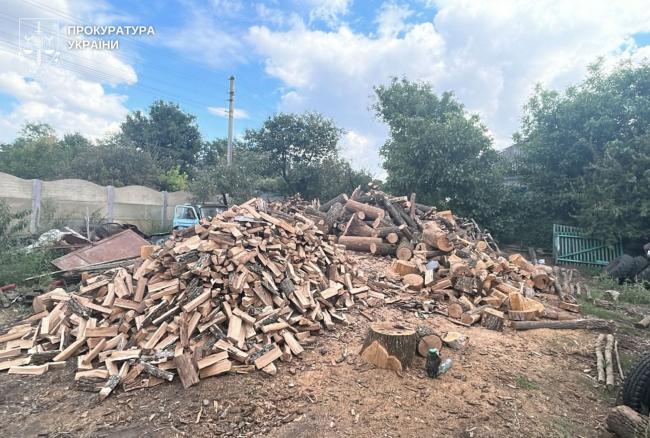 Новини Вінниці - фото з Масштабна вирубка дерев на заповідній території Вінниччини: затримали «чорних лісорубів»