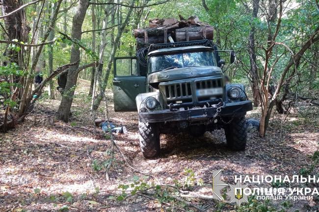 Новини Вінниці - фото з Масштабна вирубка дерев на заповідній території Вінниччини: затримали «чорних лісорубів»