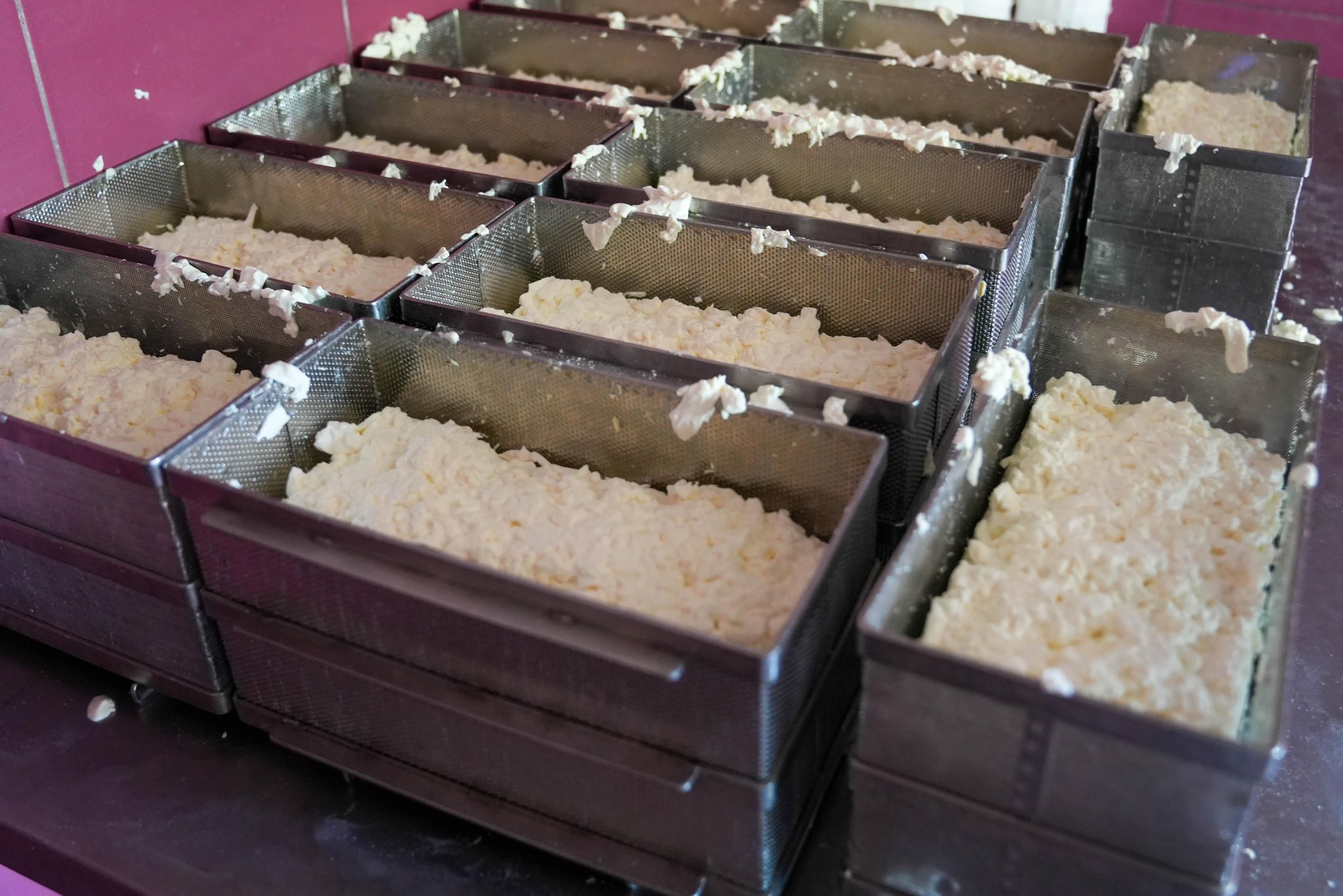 Новини Тернополя - фото з Адигейські сири з Тернопільщини: як господарі з Шумщини об'єднались щоб переробляти молочну продукцію