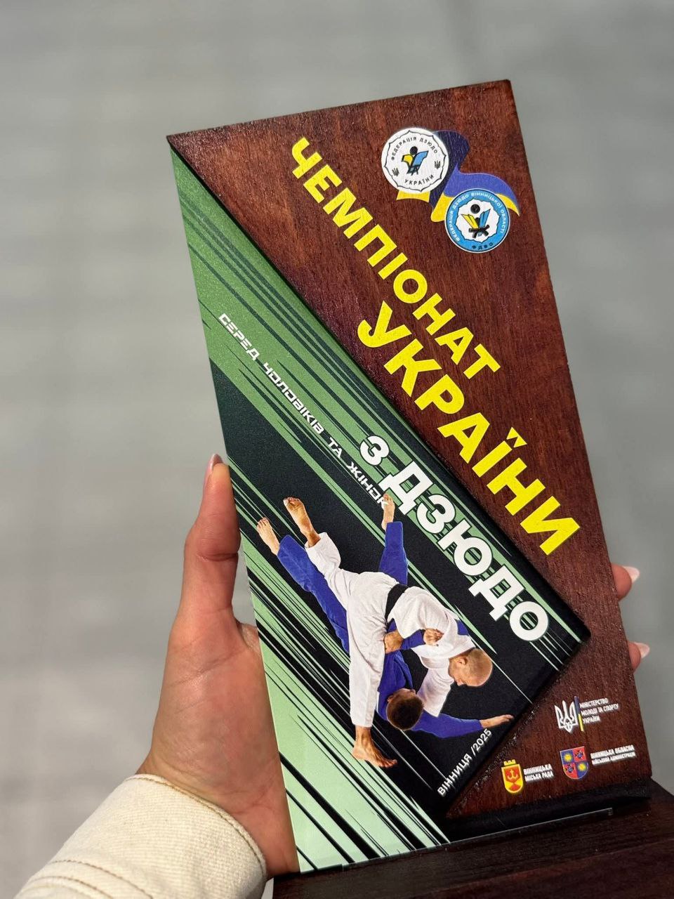 Новини Вінниці - фото з У Вінниці вперше в Україні провели турнір з адаптивного дзюдо