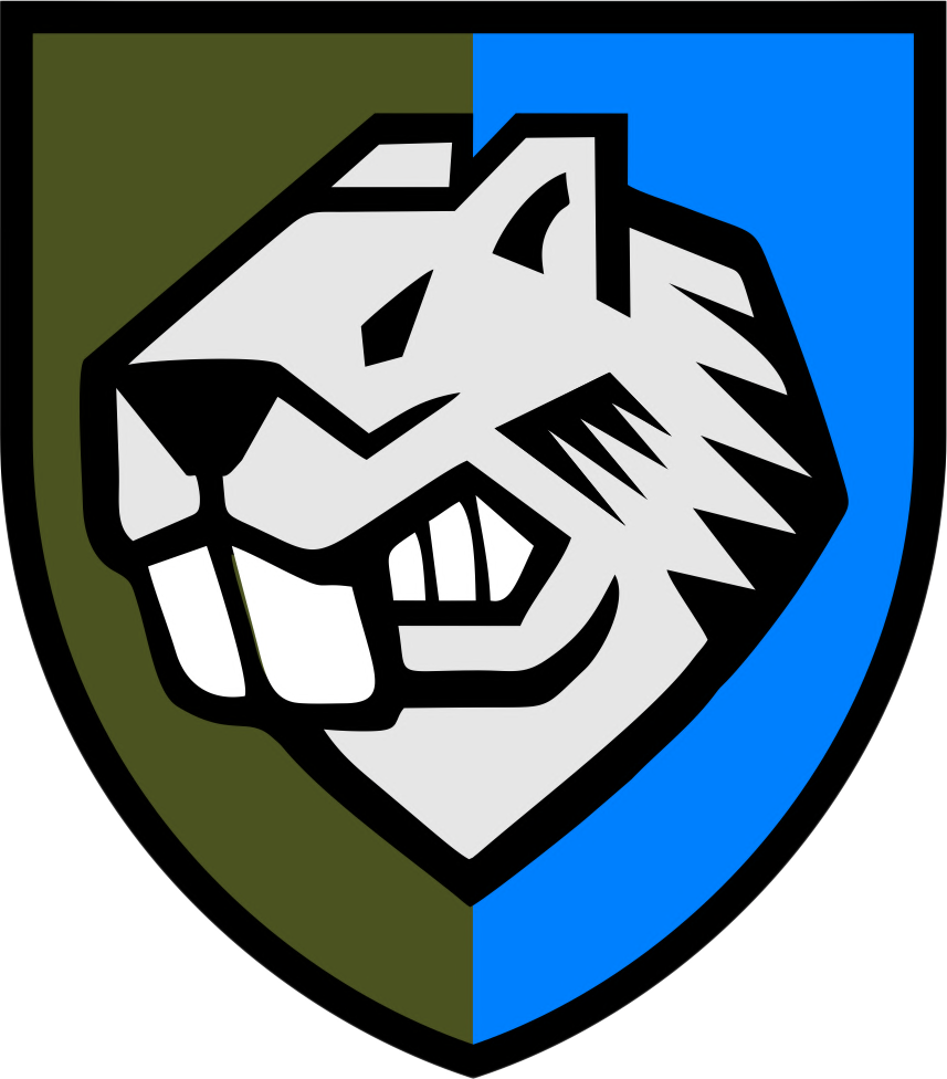 Новини Вінниці - фото з 808 Дністровська окрема бригада підтримки проводить набір операторів БПЛА та НРК за програмою “Контракт 18–24” (Соціальна реклама)