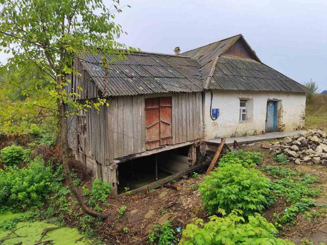 Новини Вінниці - фото з «Друге життя 200-річного млина»: як родина Кузь започаткувала крафтове виробництво борошна