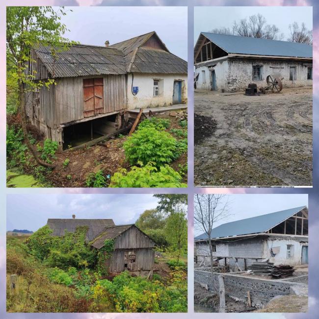 Новини Вінниці - фото з «Друге життя 200-річного млина»: як родина Кузь започаткувала крафтове виробництво борошна