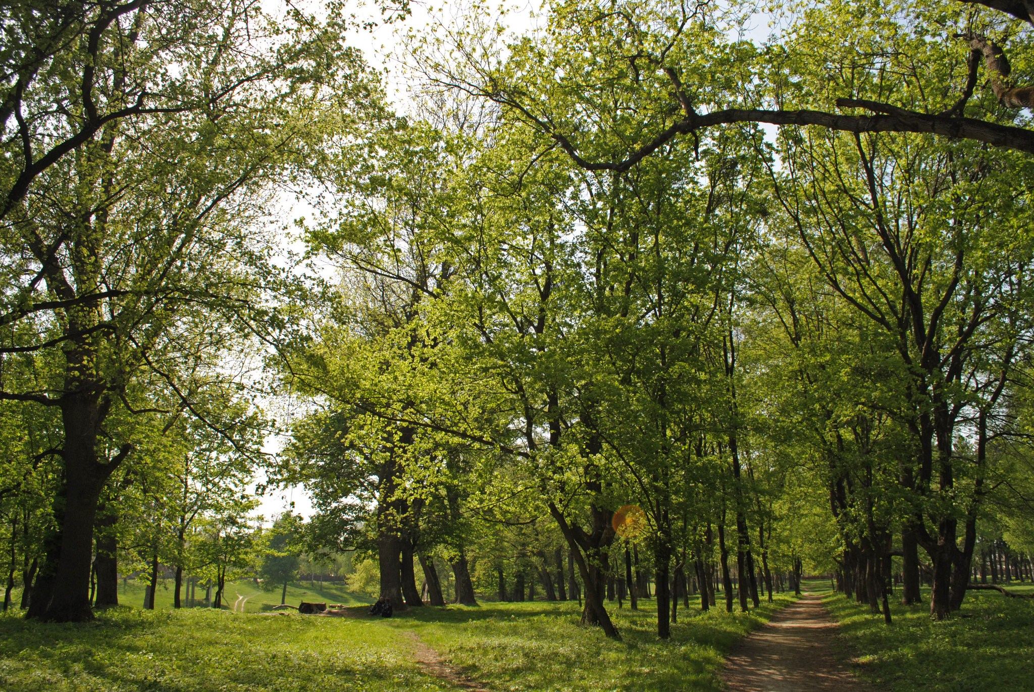 Новини Вінниці - фото з Історія палацу в П’ятничанах: велич, занепад і нове життя