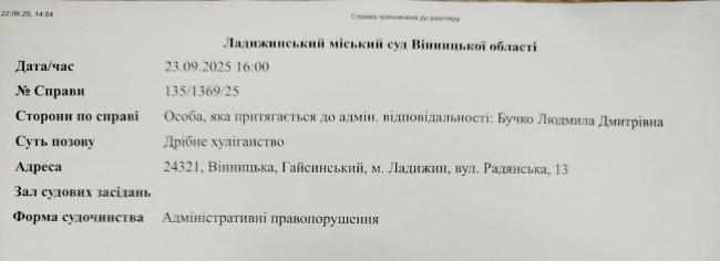 Новини Вінниці - фото з Заступницю мера Ладижина Людмилу Бучко судитимуть за образу військового