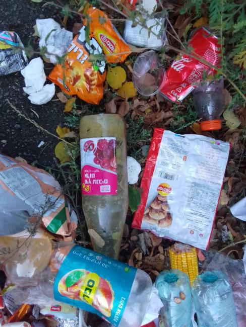 Новини Вінниці - фото з Узбіччя села у Могилів-Подільському районі завалене сміттям — їхали хасиди