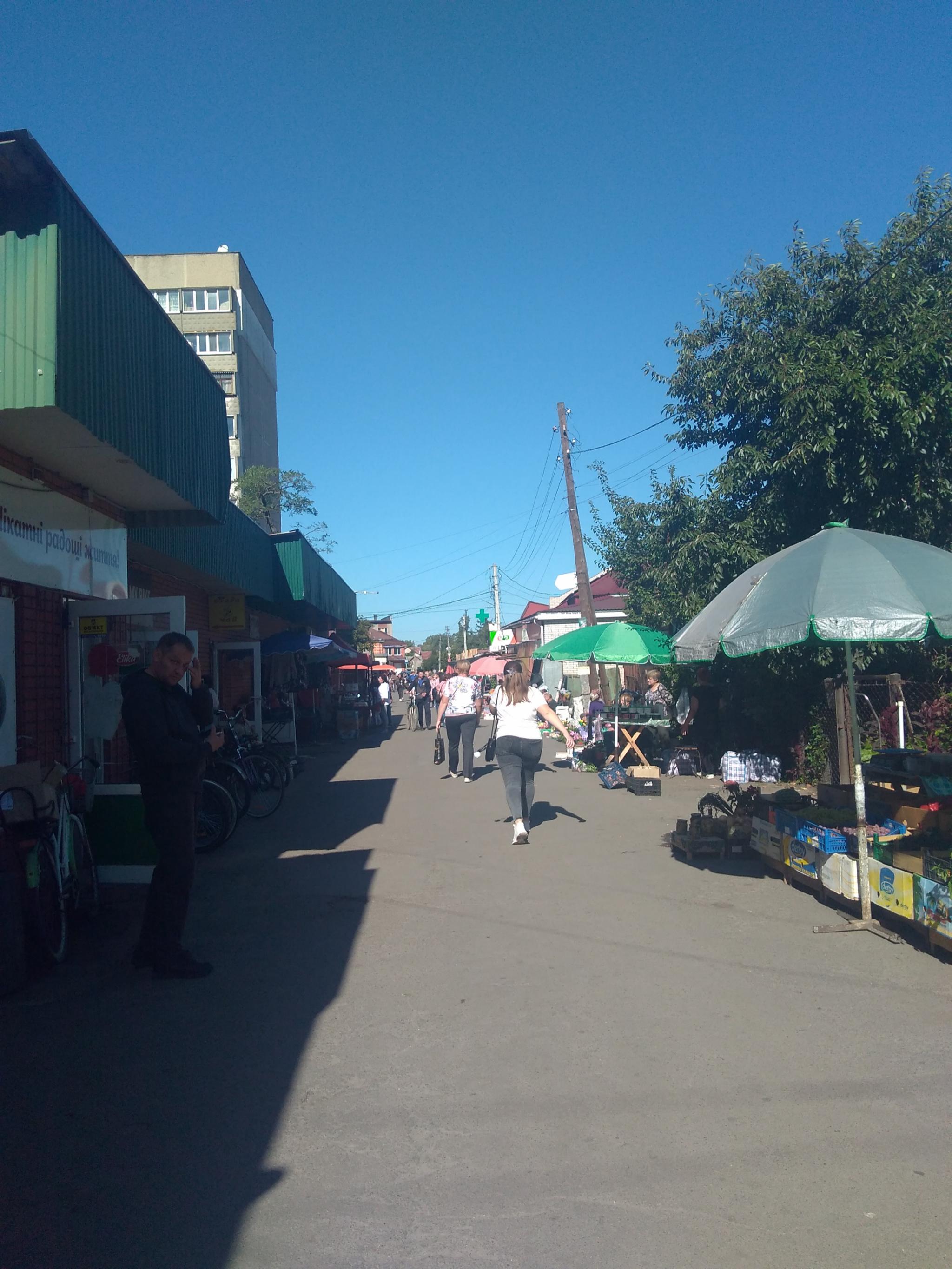 Новини Козятина - фото з Всі Іванківці в соняшнику і олія дорога, а от лохина 415 і раки по 700 це вже дно