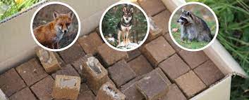 Новини Козятина - фото з У нашому районі стартує осіння кампанія з імунізації диких м’ясоїдних тварин проти сказу