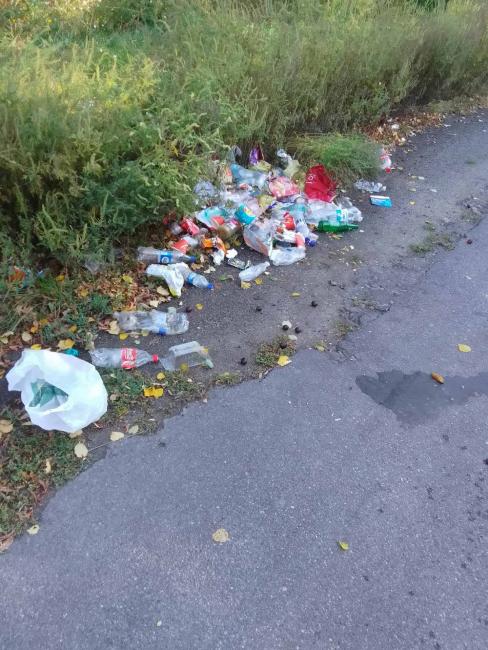 Новини Вінниці - фото з Узбіччя села у Могилів-Подільському районі завалене сміттям — їхали хасиди