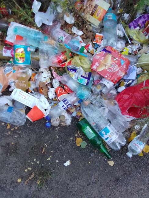 Новини Вінниці - фото з Узбіччя села у Могилів-Подільському районі завалене сміттям — їхали хасиди