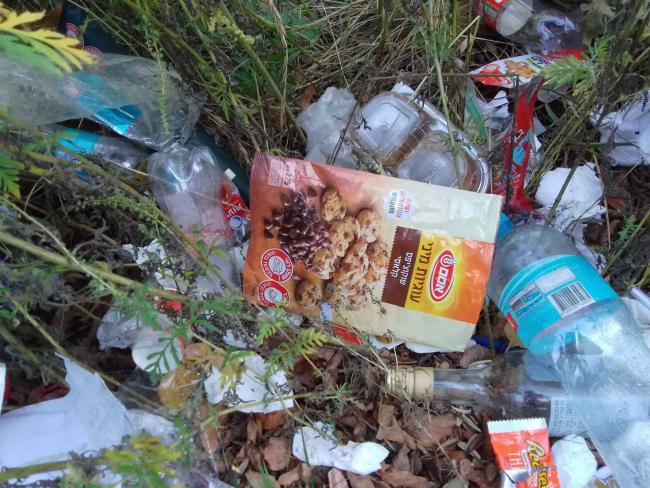 Новини Вінниці - фото з Узбіччя села у Могилів-Подільському районі завалене сміттям — їхали хасиди