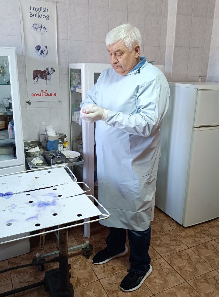 Новини Тернополя - фото з Безкоштовна вакцинація триває: у Тернопільському районі вже щепили від сказу понад 28 тис. тварин