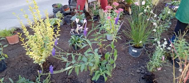 Новини Вінниці - фото з На перехресті Соборної та Артинова завершують благоустрій, висаджують клумби