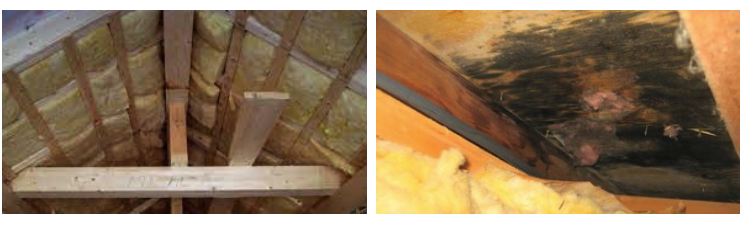 Новини Хмельницького - фото з Газобетон чи СІП-панелі: що обрати для будівництва будинку в Хмельницькому та по всій Україні? (новини компаній)