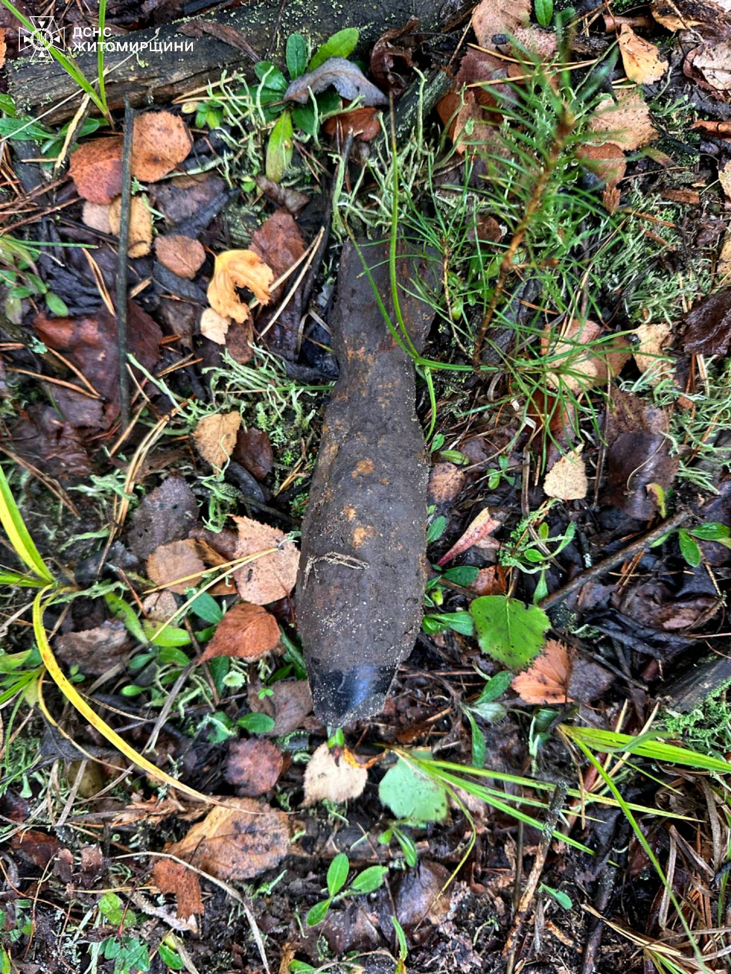 Новини Житомира - фото з Піротехніки ДСНС області знищили стару міну, яку знайшли у Вишевицькій громаді