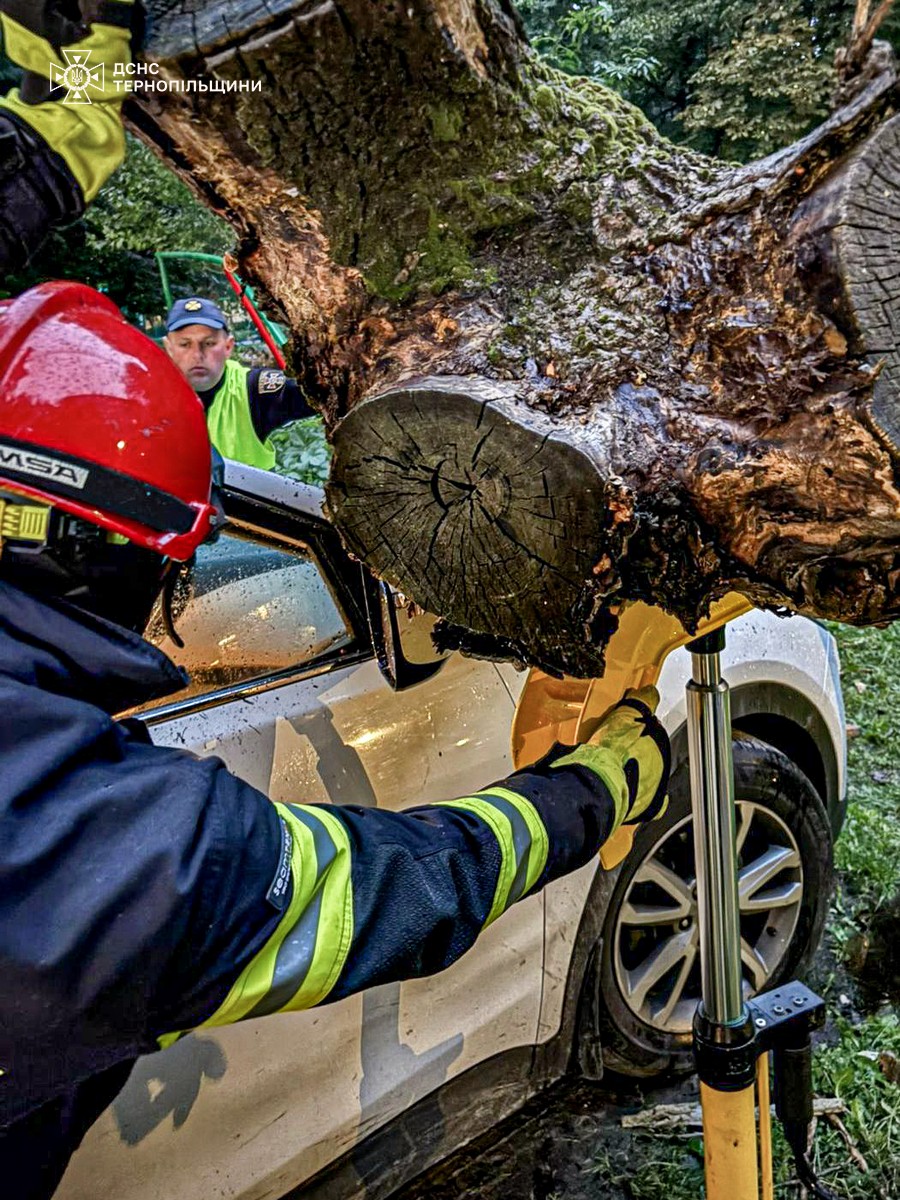 Новини Тернополя - фото з На Руській впало дерево на припаркований автомобіль