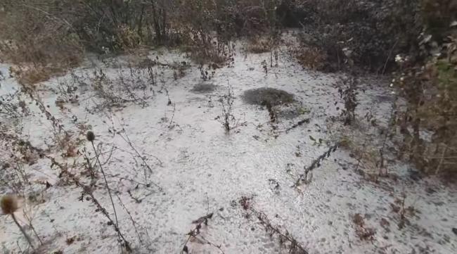 Новини Вінниці - фото з «Я воював, щоб захистити цю землю, а тепер її труять»: відходи сирзаводу у Крижополі знищили ділянку ветерана
