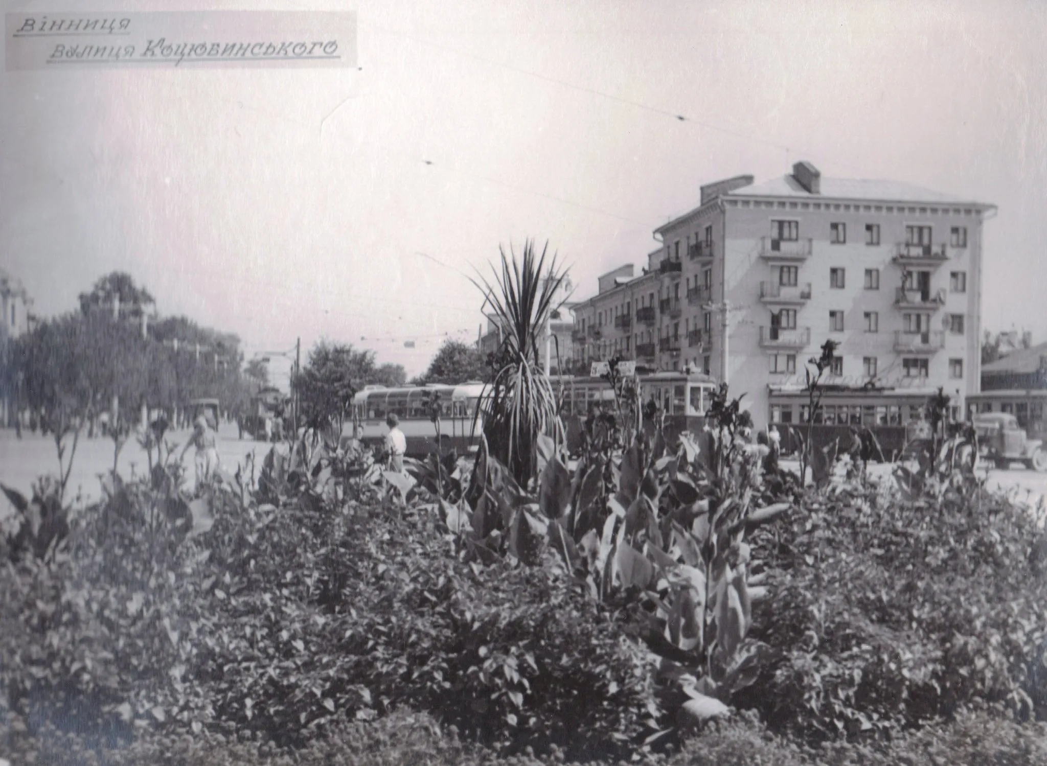 Новини Вінниці - фото з Вулицями рідного міста: яким раніше були проспект Коцюбинського і площа Перемоги