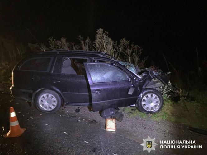 Аварія у Козятині, Селищі та Пиляві