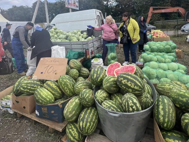 Новини Вінниці - фото з У Щітках пройшов осінній сільськогосподарський ярмарок: що продавали та коли наступний