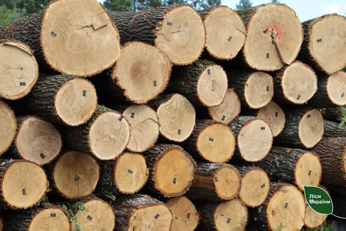 Новини Тернополя - фото з Скільки коштують дрова на Тернопільщині та де безпечно їх купити