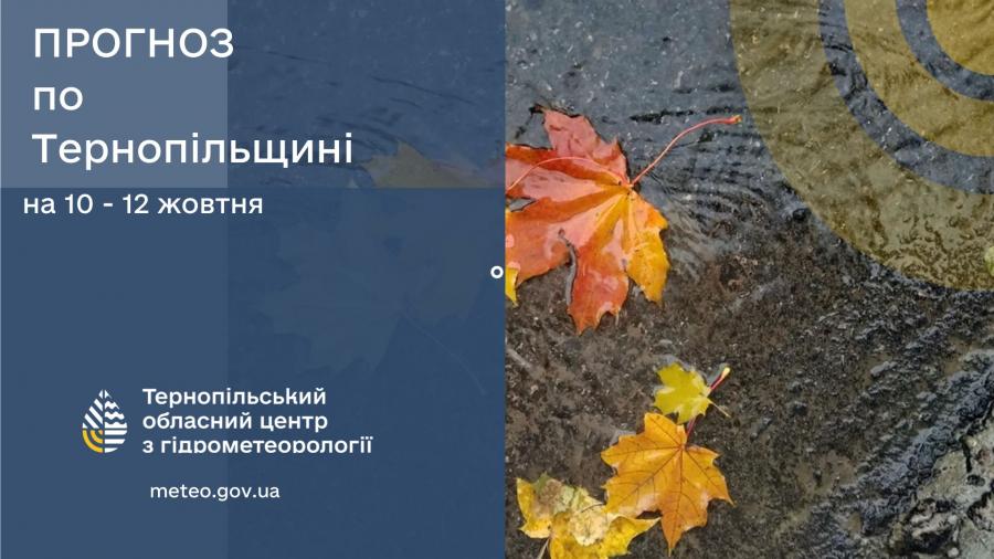 Новини Тернополя - фото з На Тернопільщині оголосили штормове попередження через посилення вітру