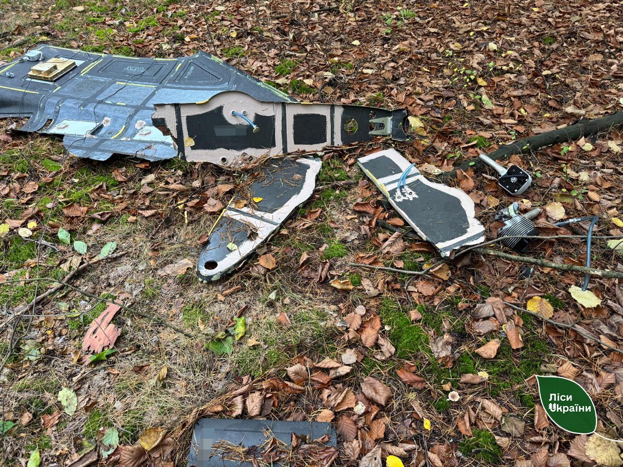 Новини Житомира - фото з У лісі на Коростенщині виявили уламки шахеда