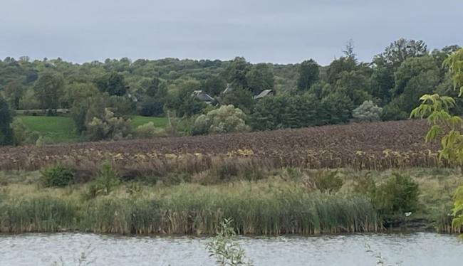 Новини Вінниці - фото з У Погребищенській громаді виявили самовільне розорювання земель прибережної зони
