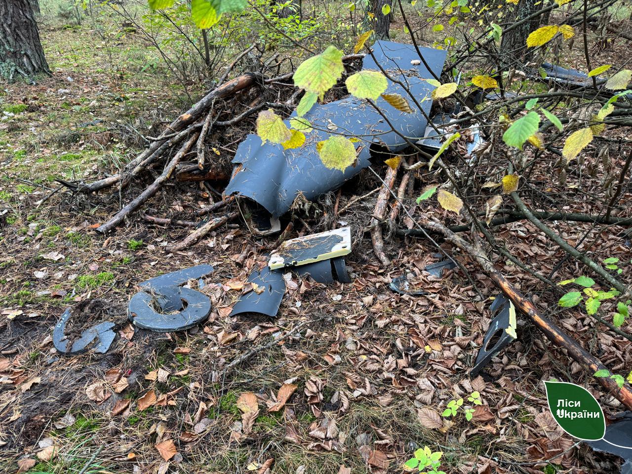 Новини Житомира - фото з У лісі на Коростенщині виявили уламки шахеда
