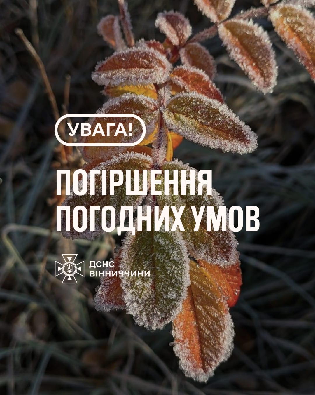 Новини Козятина - фото з Помітно похолодає. У ДСНС попереджають про заморозки на Вінниччині