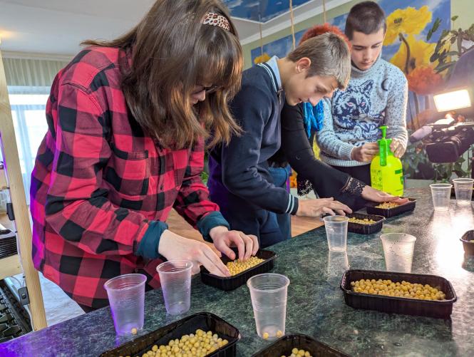 Новини Вінниці - фото з Уроки, що приносять урожай: у Вінниці школярі створили мінігород у класі
