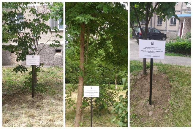 Новини Вінниці - фото з «Ми у відчаї, бо порушують закон просто під вікнами» — на Стельмаха знищують зелену зону заради парковки