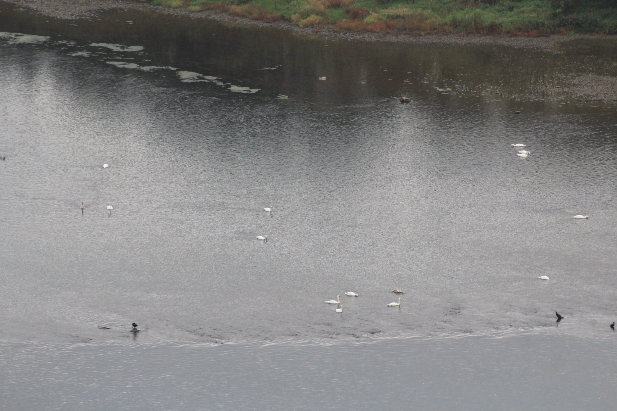 Новини Тернополя - фото з Неймовірна осінь на схилах Дністра: дивіться фото