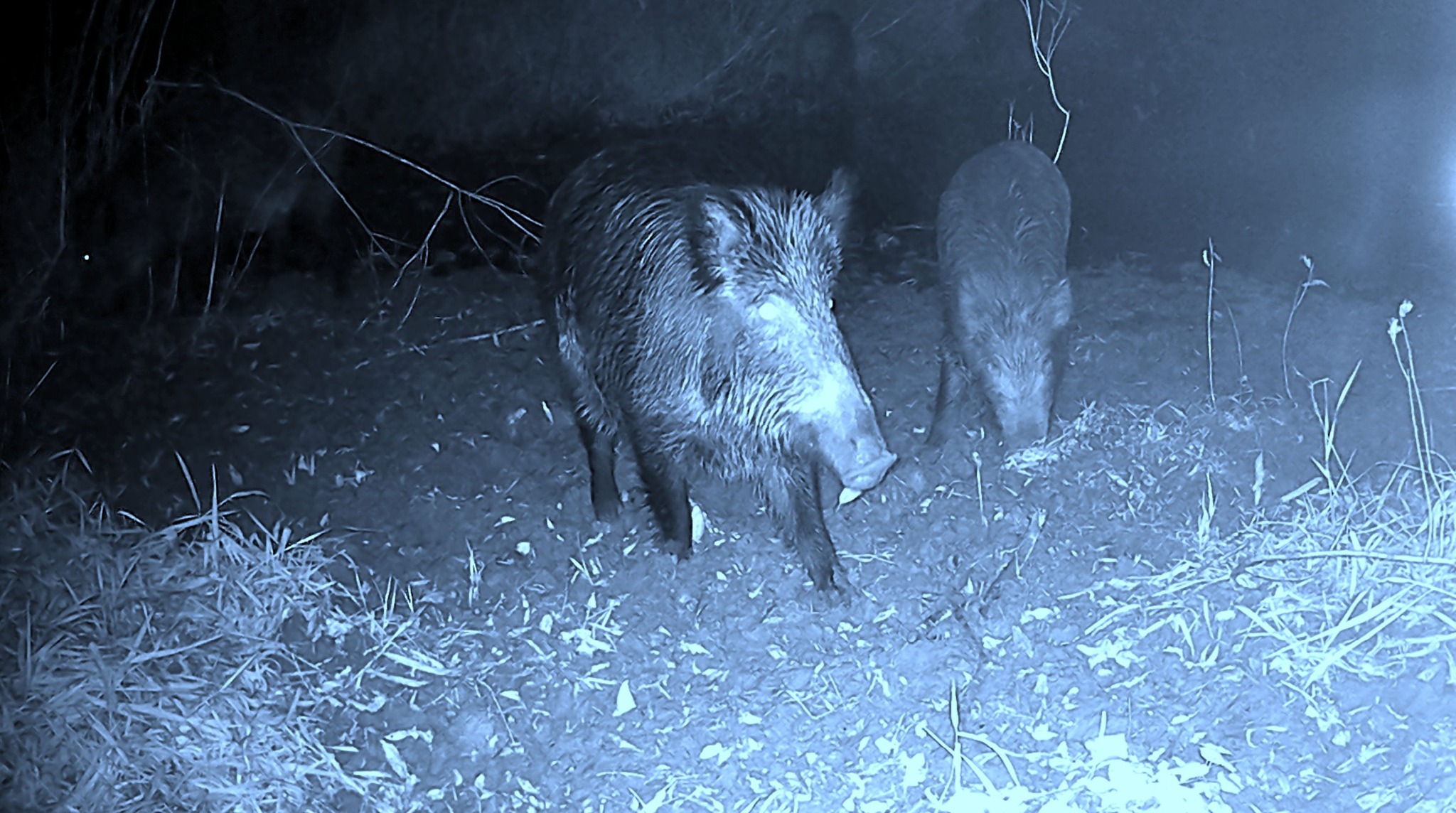 Новини Тернополя - фото з Неймовірна осінь на схилах Дністра: дивіться фото
