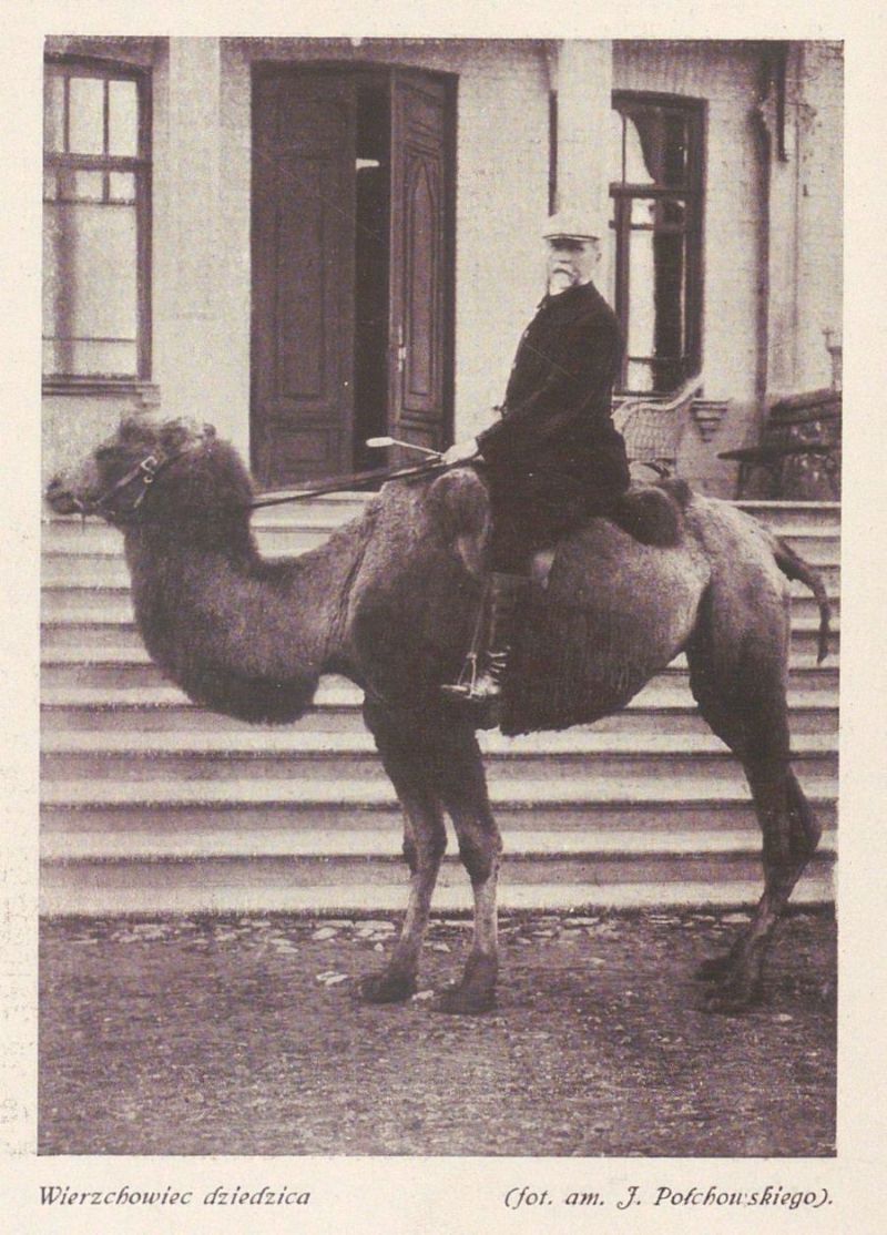 Новини Вінниці - фото з Верблюди під Козятином: розповідаємо неймовірну історію маєтку «Софіївка», що вражав Європу