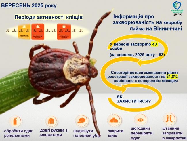 Новини Вінниці - фото з На Вінниччині зафіксували понад 40 випадків хвороби Лайма