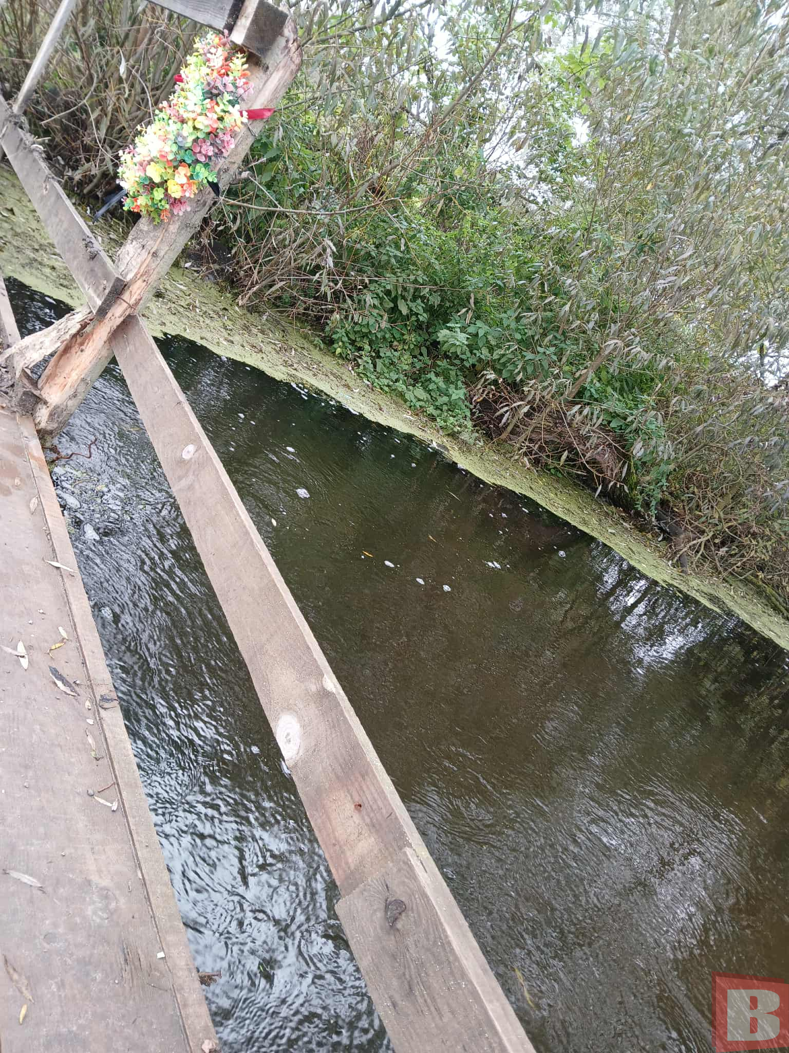 Новини Хмельницького - фото з Нещасний випадок і завмерле будівництво: з’явився міст між Гречанами і Олешином