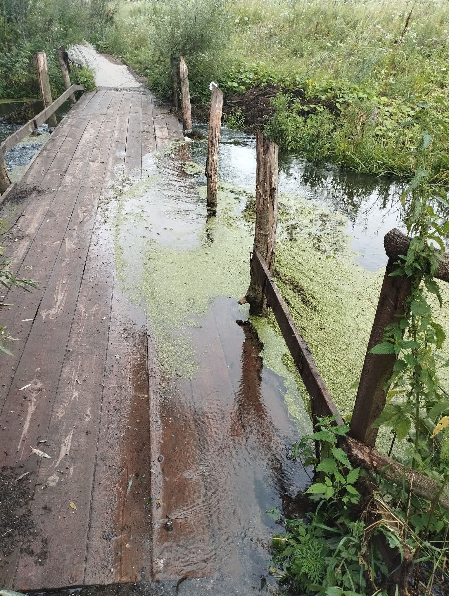 Новини Хмельницького - фото з Нещасний випадок і завмерле будівництво: з’явився міст між Гречанами і Олешином